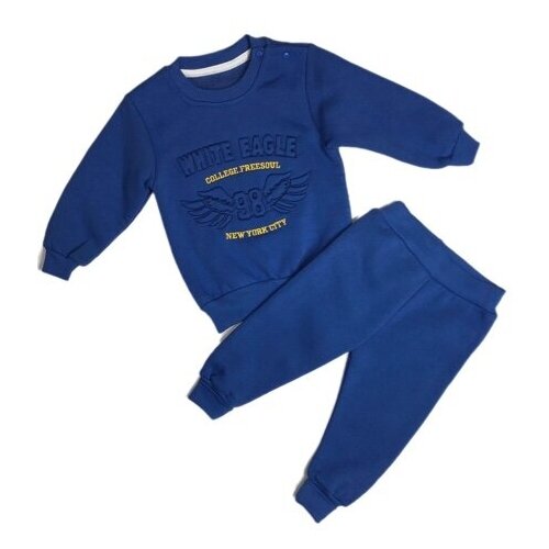 Комплект одежды , толстовка и брюки, размер 86-92, синий