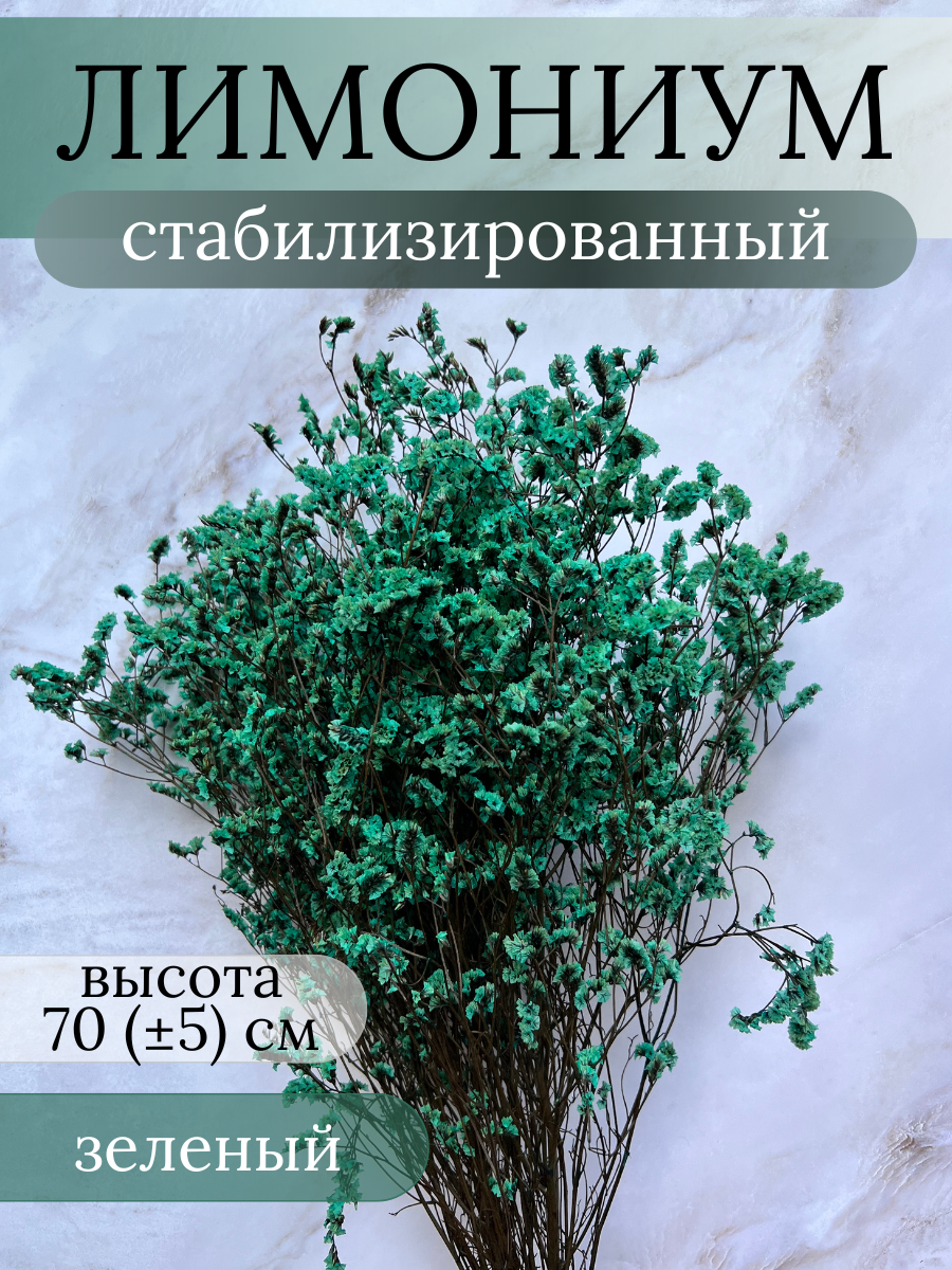 Сухоцветы Лимониум Кермек натуральные цветы (Цвет: зеленый)