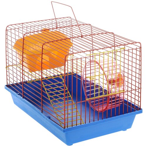 Клетка для грызунов ЗооМарк, 2-этажная, цвет: синий поддон, оранжевая решетка, 36 х 22 х 24 см. 125ж