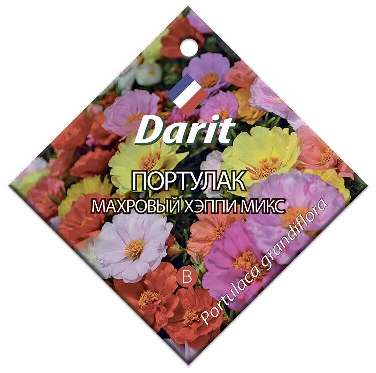 Семена Darit 