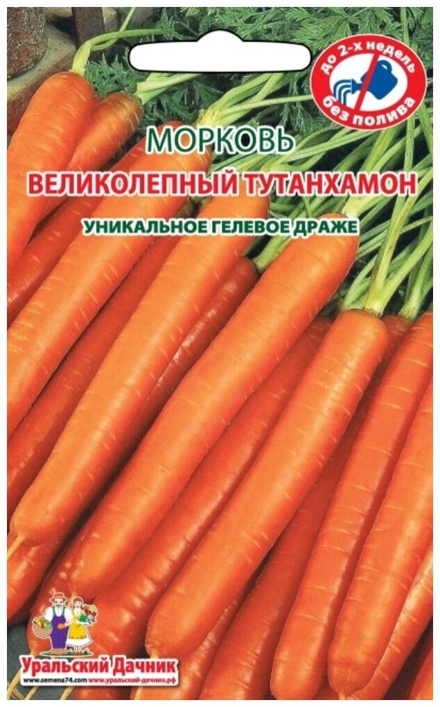 Семена Морковь "Великолепный Татунхамон", 300 шт. - фотография № 3