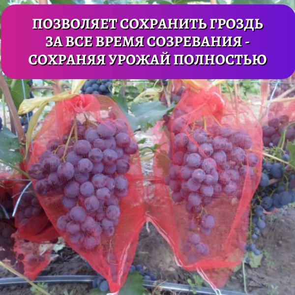 Мешочки для винограда от ос сетчатые 30х50 см, 100 шт Благодатное земледелие