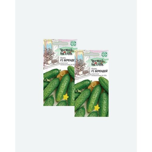 Семена Огурец Берендей F1, 10шт, Гавриш, Урожай на окне(2 упаковки)
