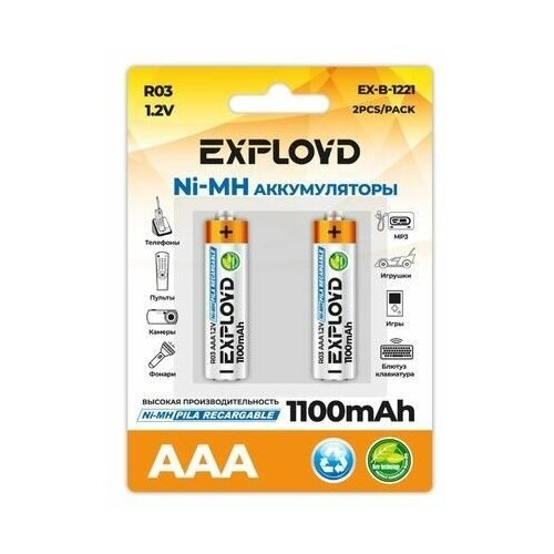 Аккумулятор AAA Exployd/R03-2BL/1100mAh/1.2B(2/20/200)EX-B-1221