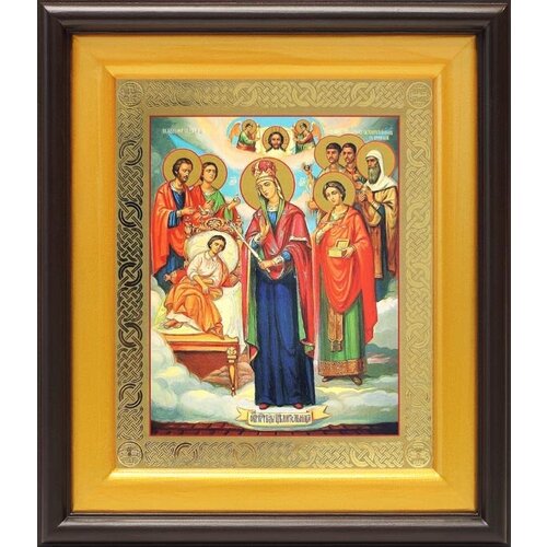 Икона Богородицы Целительница и святые врачеватели, широкий киот 21,5*25 см