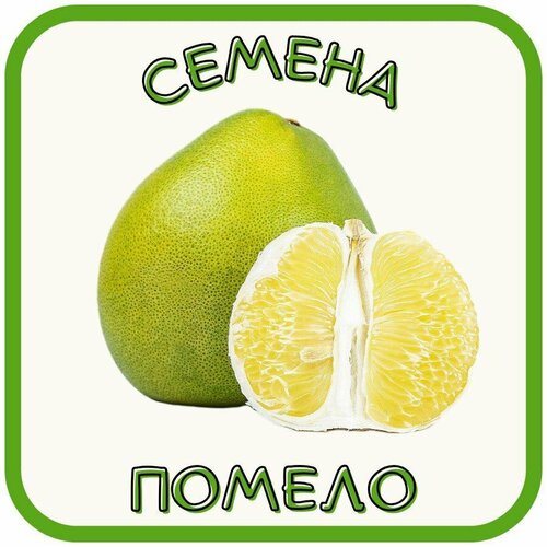 Семена Помело