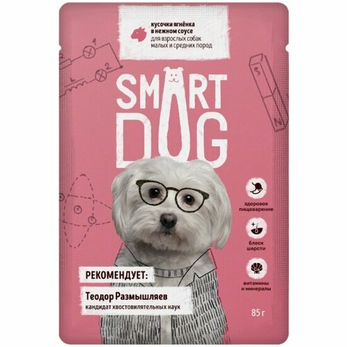 Корм влажный Smart Dog для взрослых собак малых и средних пород кусочки ягненка в нежном соусе, 25шт х85 г