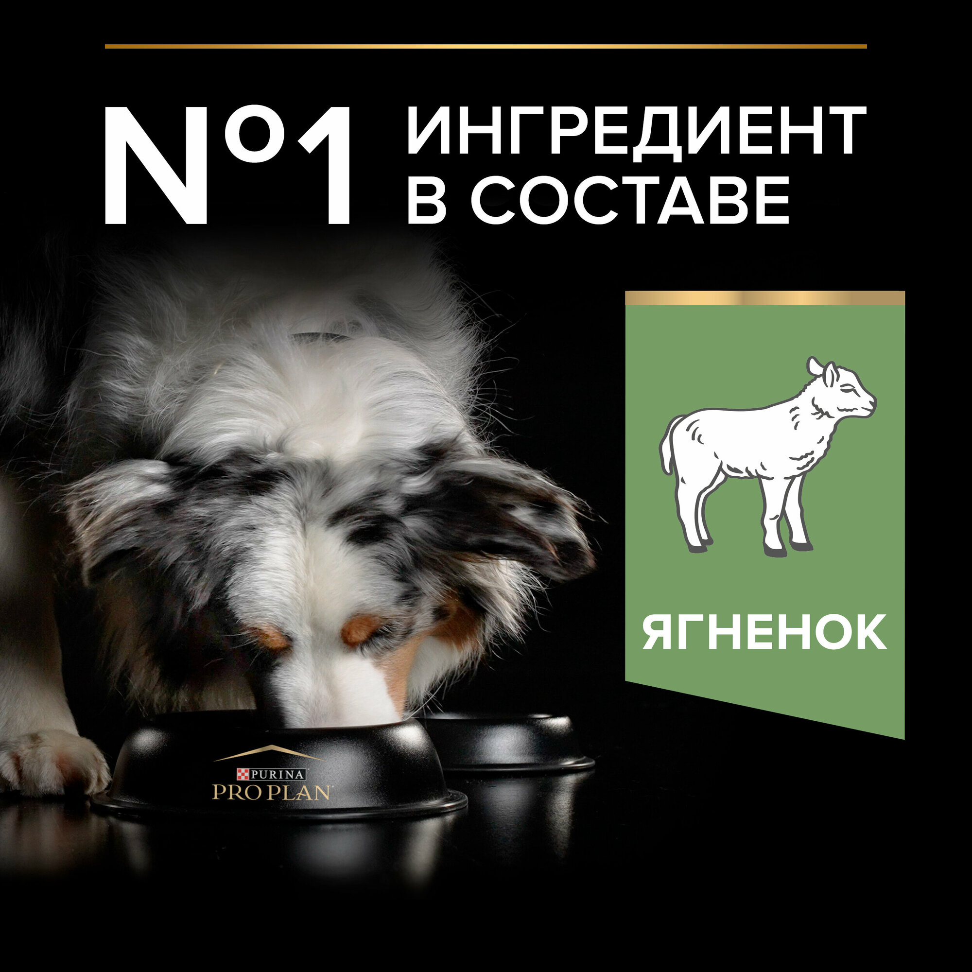 Сухой корм PRO PLAN® SENSITIVE DIGESTION для взрослых собак средних пород с чувствительным пищеварением с ягненком, 14 кг — фото 1