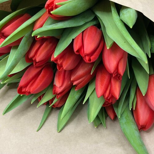 Букет из 7 ярких красных тюльпанов в стильной крафтовой упаковке