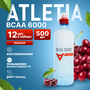 Аминокислота SPORTINIA Atletia BCAA 6000