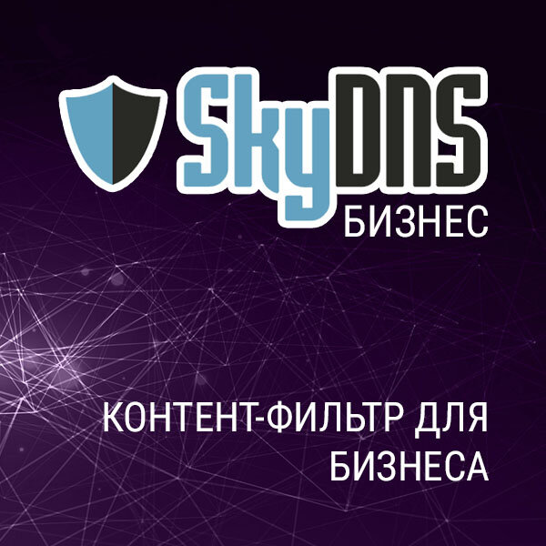 SkyDNS Бизнес на 10 ПК (лицензия на 1 год)
