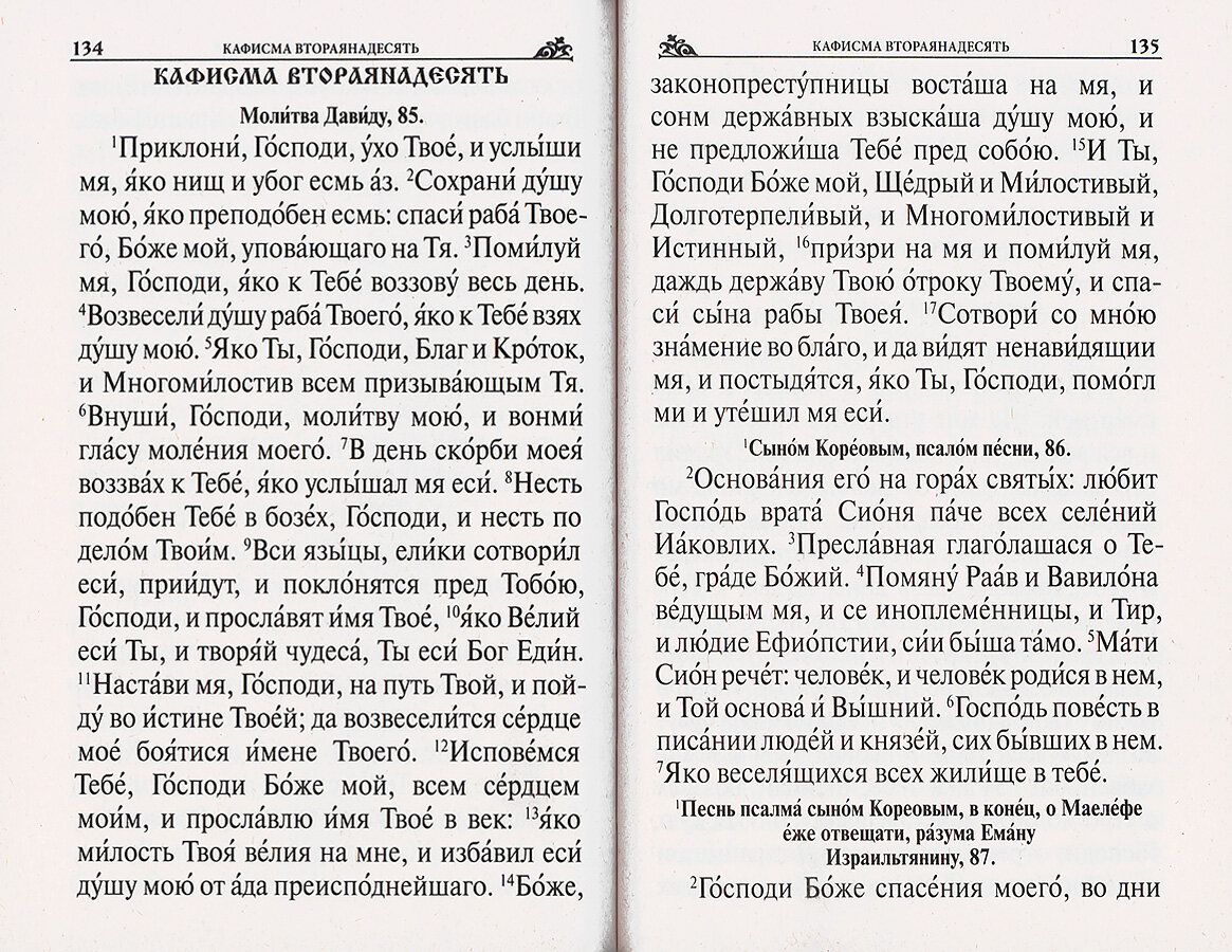 Псалтирь. Крупный шрифт (Чугунов В. (сост.)) - фото №3