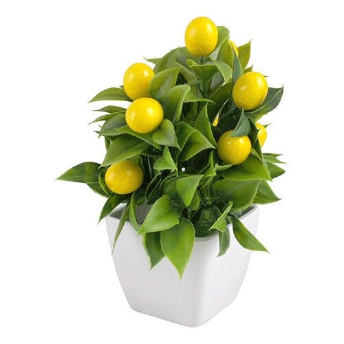Искусственные цветы, деревце Лимон, пластик, 18 см