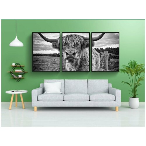 фото Набор модулных постеров для интерьера "высокогорная корова, корова, животное" 60x90 см. в тубусе, без рамки lotsprints
