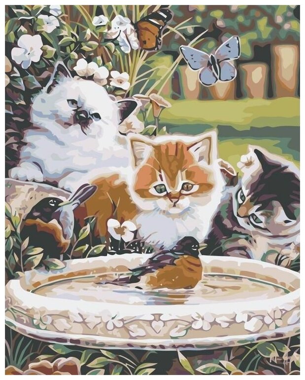 Картина по номерам "Любопытные котята", 40x50 см