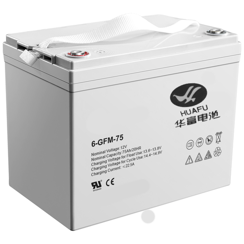 Аккумулятор для штабелёров IWS/PWS/WS 12V/75Ah гелевый (Gel battery) Tor industries motorcycle battery ytx14 bs gel battery