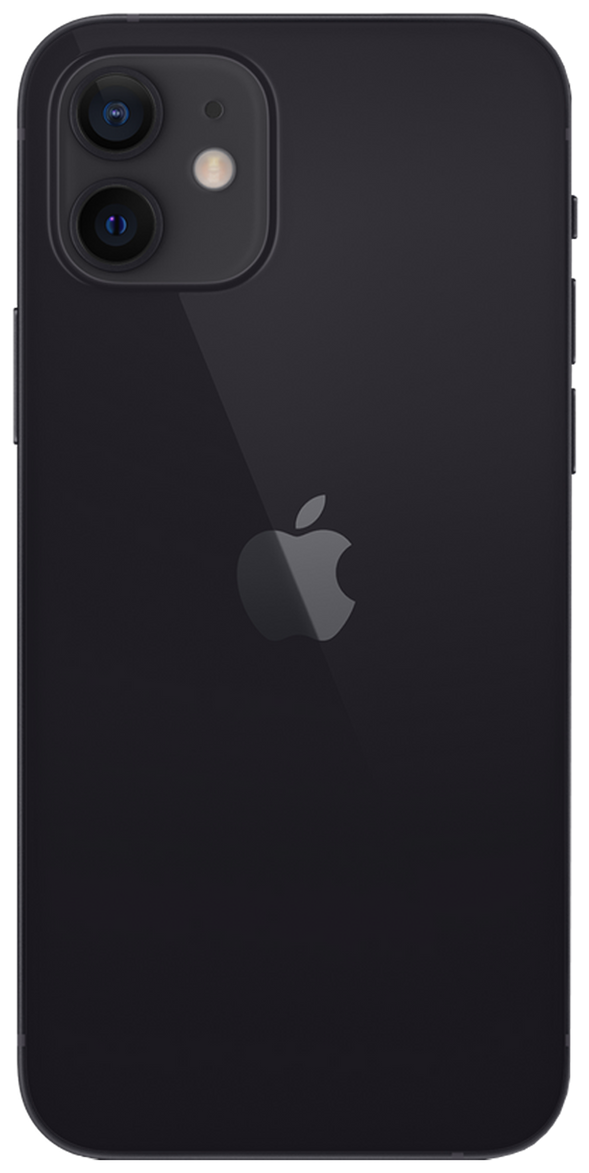 Мобильный телефон Apple Apple iPhone 12 (MGGX3CH/A) - фото №3