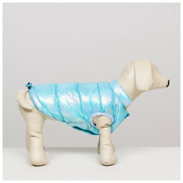 Куртка для собак двухсторонняя с утяжкой, размер 18 (ДС 40 см, ОГ 50 см, ОШ 38 см), голубая