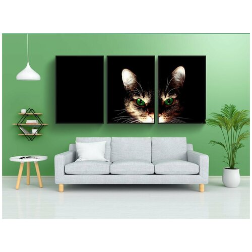 фото Набор модулных постеров для интерьера "кот, короткие волосы, домашнее животное" 60x90 см. в тубусе, без рамки lotsprints