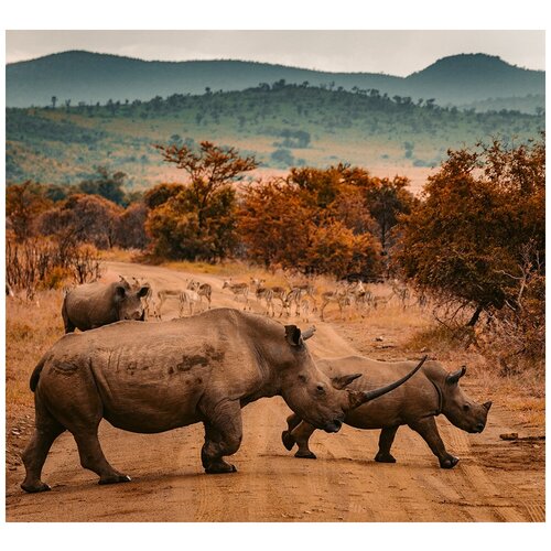 Фотообои Уютная стена Животные Африки на сафари 300х270 см Бесшовные Премиум (единым полотном)