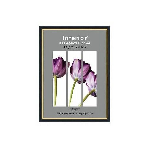 Фоторамка 30x40 Interior Office 589 черный