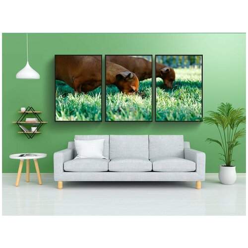 фото Набор модулных постеров для интерьера "сосиски, таксы, собаки" 60x90 см. в тубусе, без рамки lotsprints