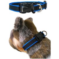Ошейник для собак Petsare ширина 20 мм, обхват шеи 30-50 см, черный синий кант