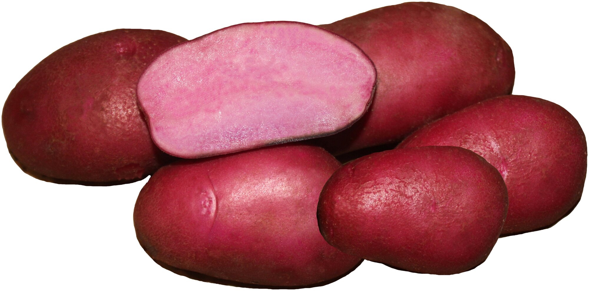 Картофель семенной сорт Сюрприз