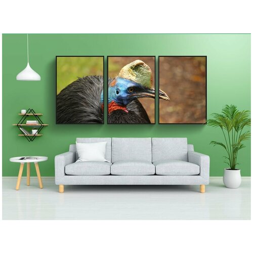 фото Набор модулных постеров для интерьера "rothalskasuar, einlappenkasuar, птица" 60x90 см. в тубусе, без рамки lotsprints