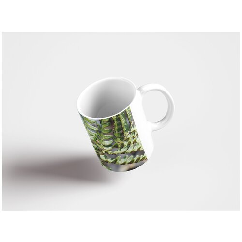фото Кружка "оттенок, папоротник, лес 320 мл. белая lotsprints