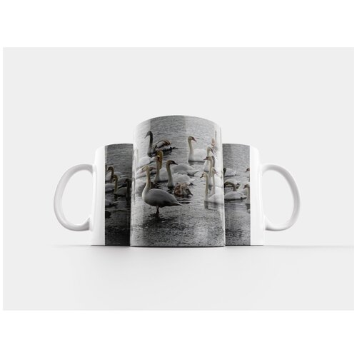 фото Кружка "лебеди, водоплавающая птица, водоплавающих птиц в зимний период" 320 мл lotsprints