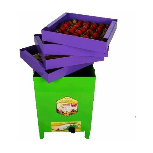 Электросушилка сухофрукт B01 УЗБИ 312900₽