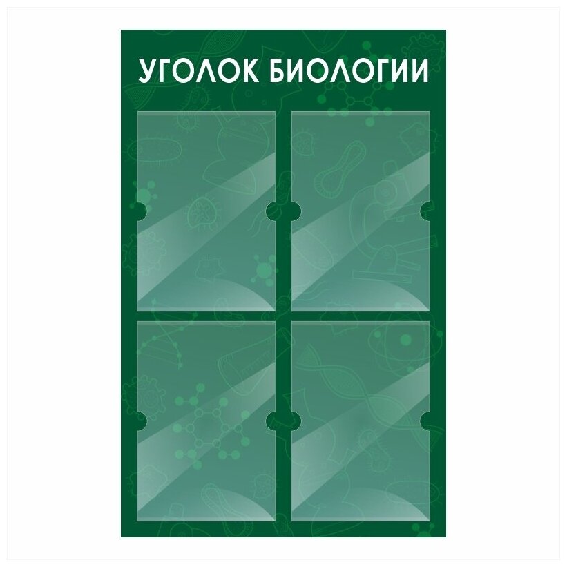 Стенд информационный "Уголок Биологии" 500х780 мм с 4 карманами А4 производство "ПолиЦентр"