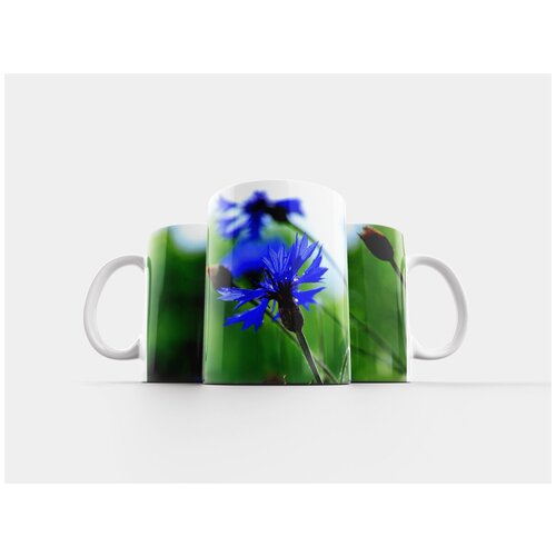 фото Кружка "васильковый, синий, летом растения" 320 мл lotsprints