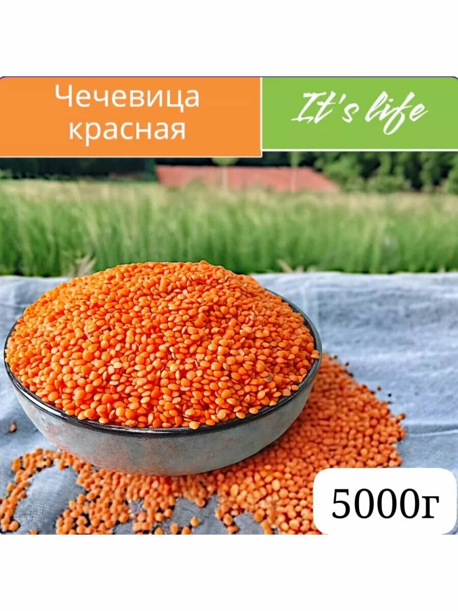 Чечевица красная 5000г — фото 1