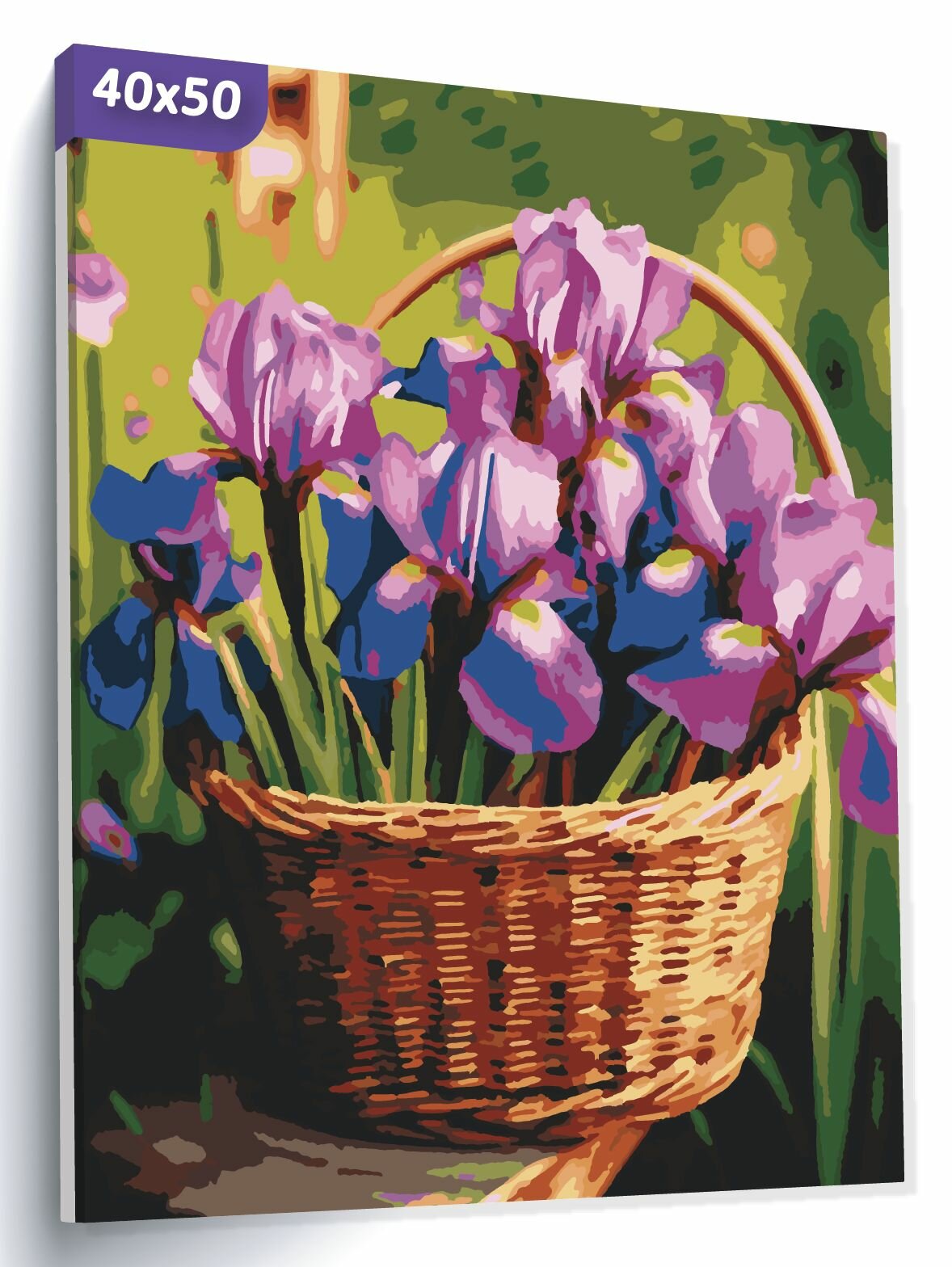 Картина по номерам "Ирисы в корзинке" Холст на подрамнике 40х50 с цветами