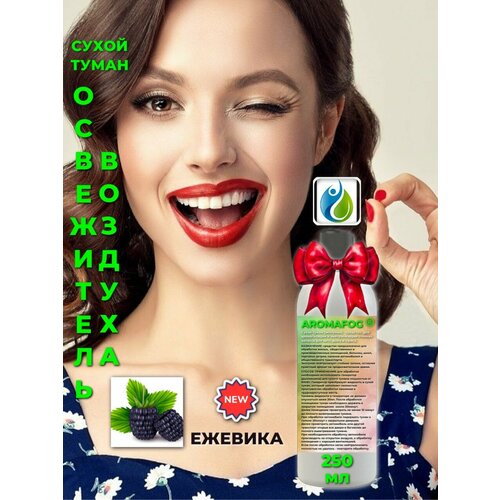 фото Освежитель воздуха для сухого тумана "ежевика", aromafog, 250 мл