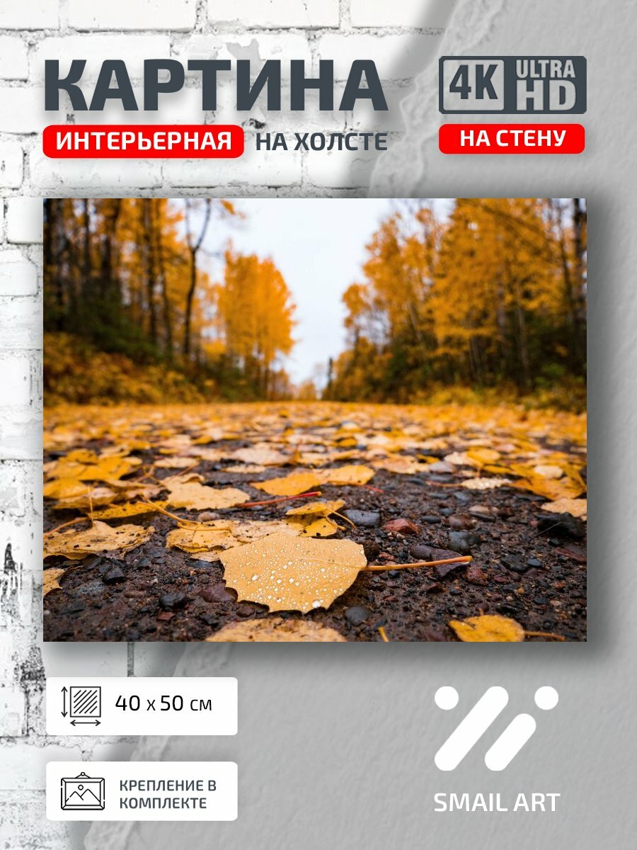 Картина на холсте интерьерная 40 на 50 на стену Асфальт Landscape для гостиной пейзаж декор