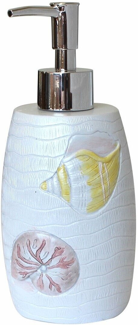 фото Ракушки