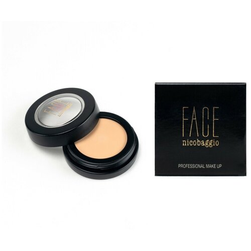 Корректор антибактериальный для проблемной кожи FACE nicobaggio professional make-up Cream Camouflage