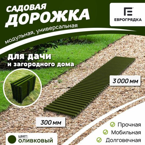 Садовая дорожка Еврогрядка 300х3000, цвет: олива