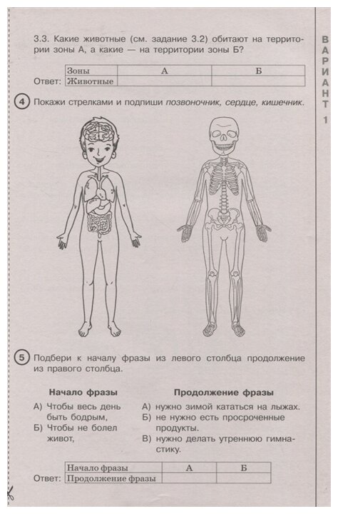 Окружающий мир за курс начальной школы. Интенсивная подготовка к ВПР - фото №4