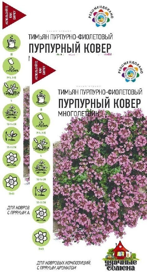 Тимьян Пурпурный ковер (003 г) 2 пакета