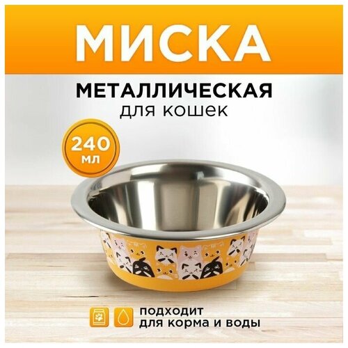 Миска металлическая для кошки Котики, 240 мл, 11х4 см