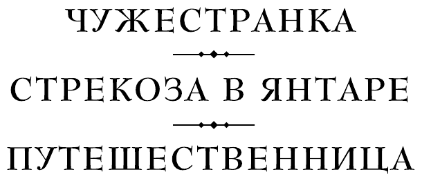 Путешественница. Книга 1. Лабиринты судьбы - фото №3