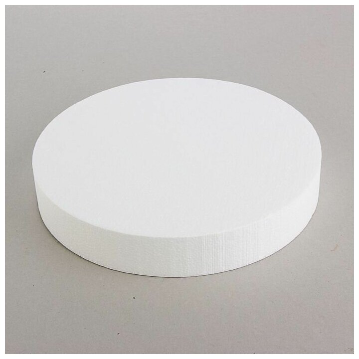 фото Флористическая основа "Диск", 30 x 5 см