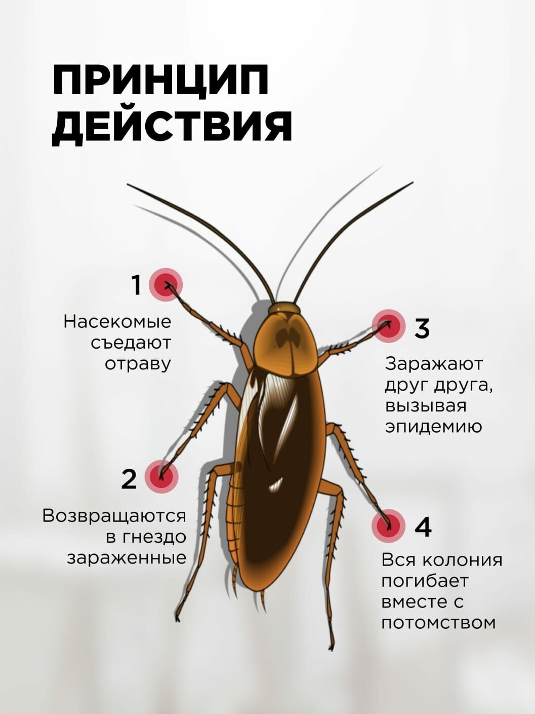 Отрава от тараканов DAHAO порошок (китайское средство) 6 шт