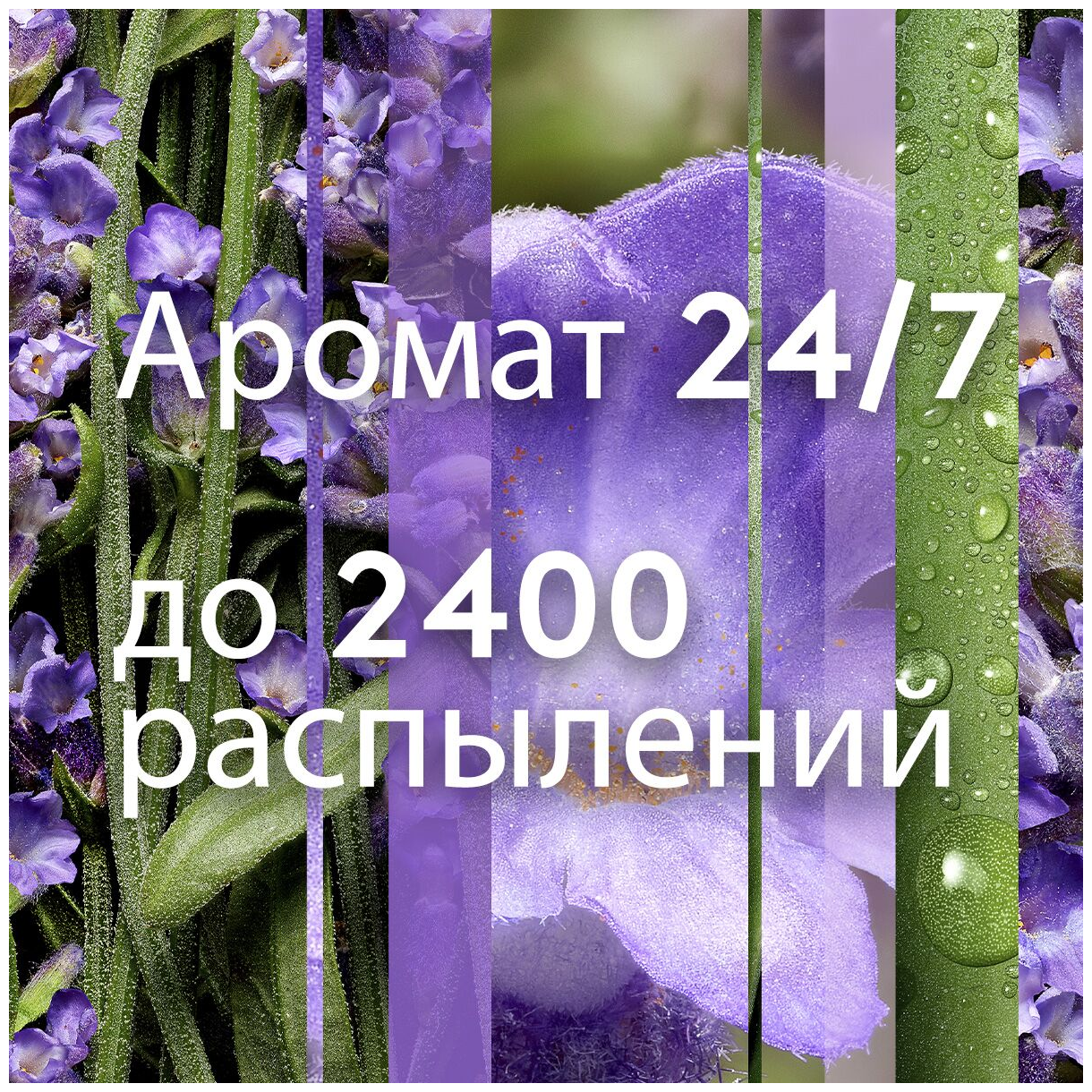 Сменный баллон Glade Automatic Безмятежная Лаванда и Алоэ 269мл - фото №7
