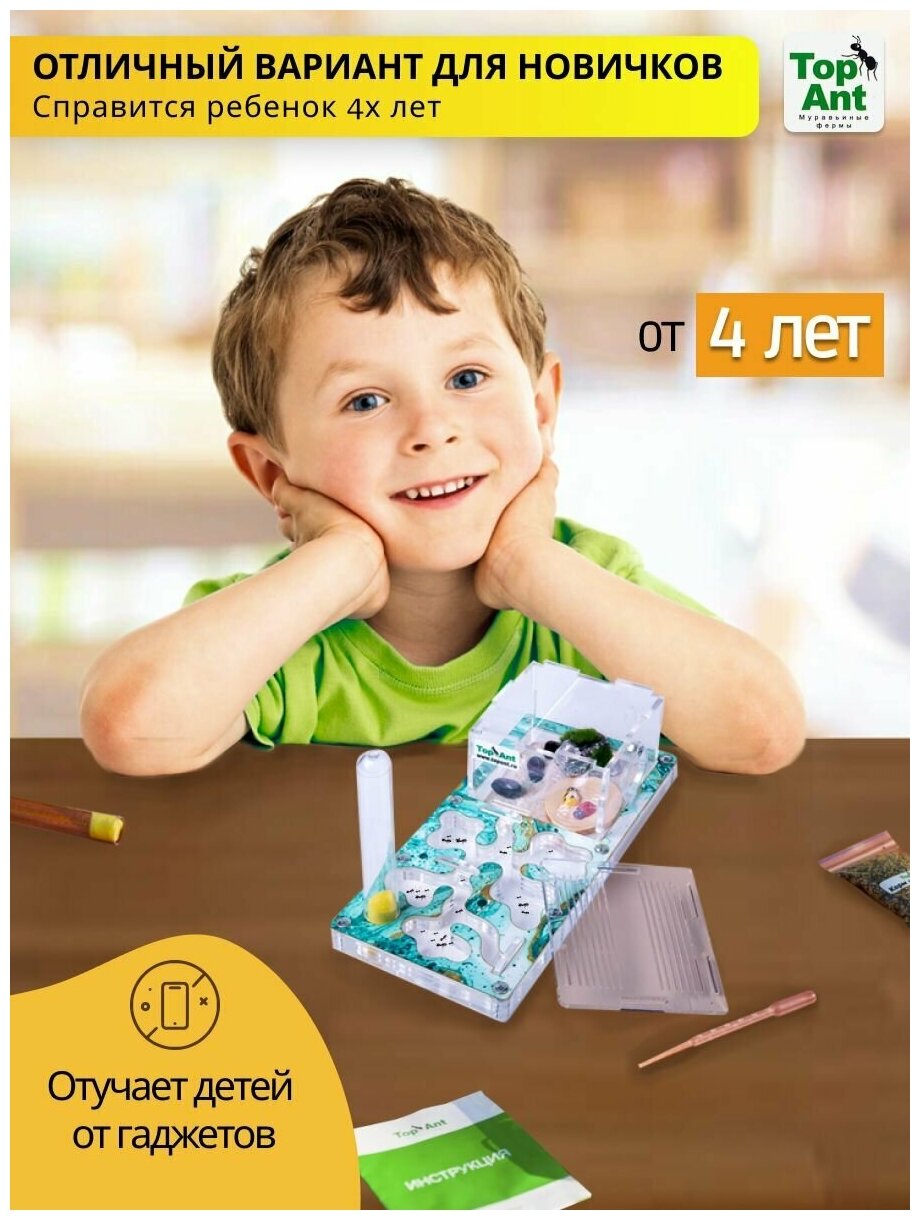 Малая муравьиная ферма максимальный комплект — фото 1