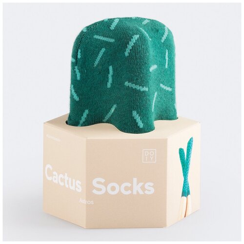 Носки Cactus Astros